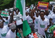 Much ado about NANS and its discontents