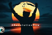 Nothing Can Stop an Idea Whose Time Has Come: #RevolutionNOW