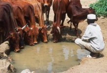 Herder-Farmer Clashes: A Call for Working People’s Unity