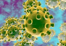 COVID-19 in Nigeria: SWL Calls for Collective Action to Combat the Pandemic