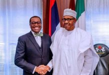 Adesina & AfDB Do Not Represent Us