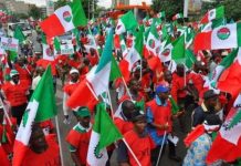 The Working Class, Politics & Party-Building