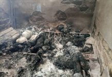 Attacks and Killings on the Plateau Must Be Stopped with Solidarity