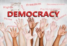What Type of Democracy Do We Need?