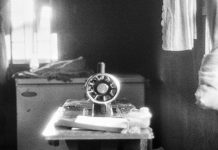 Queerphobia, a Gateway to Fascism