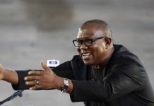 Peter Obi of Many Colours