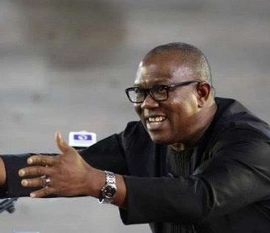 Peter Obi of Many Colours