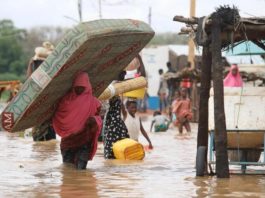 Flood Kills Over 600, Displaces 1.4m People
