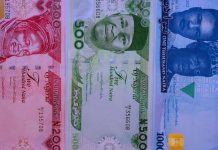 What is Our Fate with the New Naira Notes?