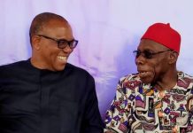 Obasanjo & Obi; Birds of the same Feather