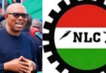 NLC Supports Peter Obi: But What Does Obi Stand For?