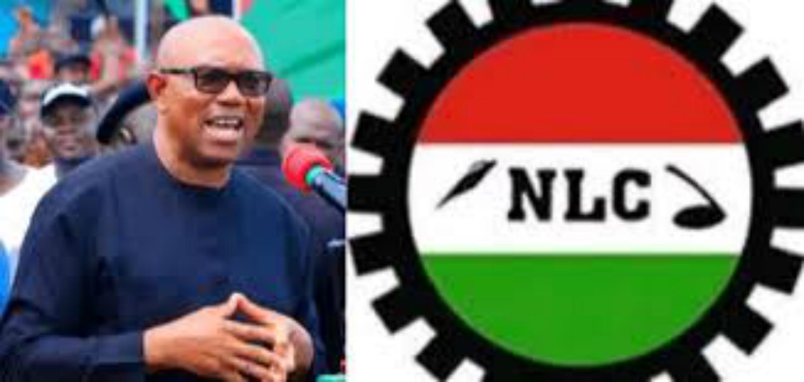 NLC Supports Peter Obi: But What Does Obi Stand For? - Socialist Workers  League
