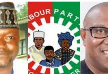 The “Tribalism” Parasite in Peter Obi’s LP Campaign