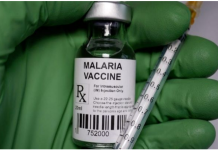 Can New Vaccine Stop Hundreds of Thousands of Malaria Deaths Yearly in Nigeria?
