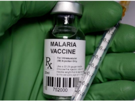 Can New Vaccine Stop Hundreds of Thousands of Malaria Deaths Yearly in Nigeria?