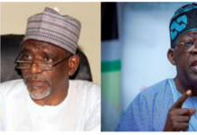 Adamu Adamu and the Identity of the Next Minister of Education