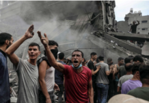 Stop the Genocide in Gaza! End Zionist Apartheid!! Free Palestine!!!