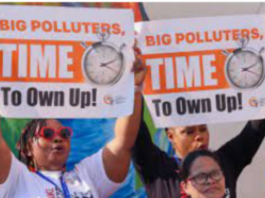 COP28: Another Jamboree, Delivered Little to Stop Climate Change