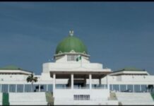 SWL Statement on the Questionable Rash of Bills in the National Assembly