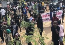 SWL Condemns Benue Bloodbath: Demands Justice; Calls for Unity and Self-defence