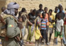 Terrorism in the Sahel and West Africa: Causes, Realities and Imperative for Revolution
