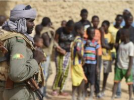 Terrorism in the Sahel and West Africa: Causes, Realities and Imperative for Revolution
