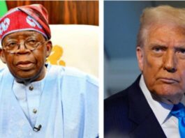 Tall Tales of Genocide in Nigeria: Political Hypocrisy Amidst Systemic Crisis