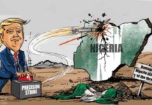 Nigeria: Beyond Trump’s Air Strikes