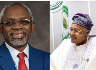 A Fake Govt. Agency & the Real Face of Governance in Nigeria